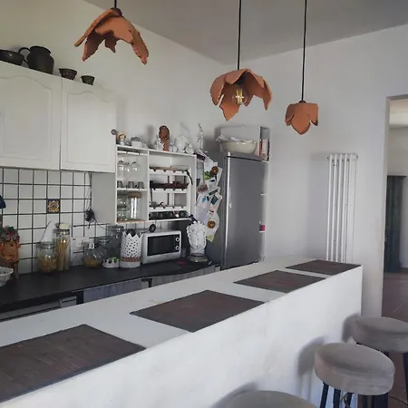 Vida Intera *