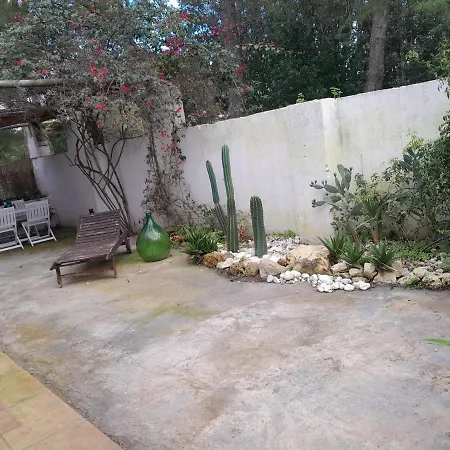 Vida Intera